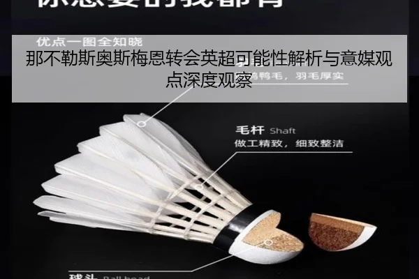那不勒斯奥斯梅恩转会英超可能性解析与意媒观点深度观察