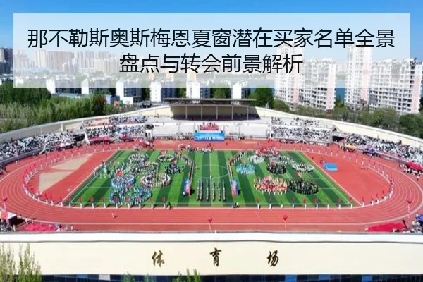 那不勒斯奥斯梅恩夏窗潜在买家名单全景盘点与转会前景解析